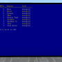 multisimmonitor_002.png